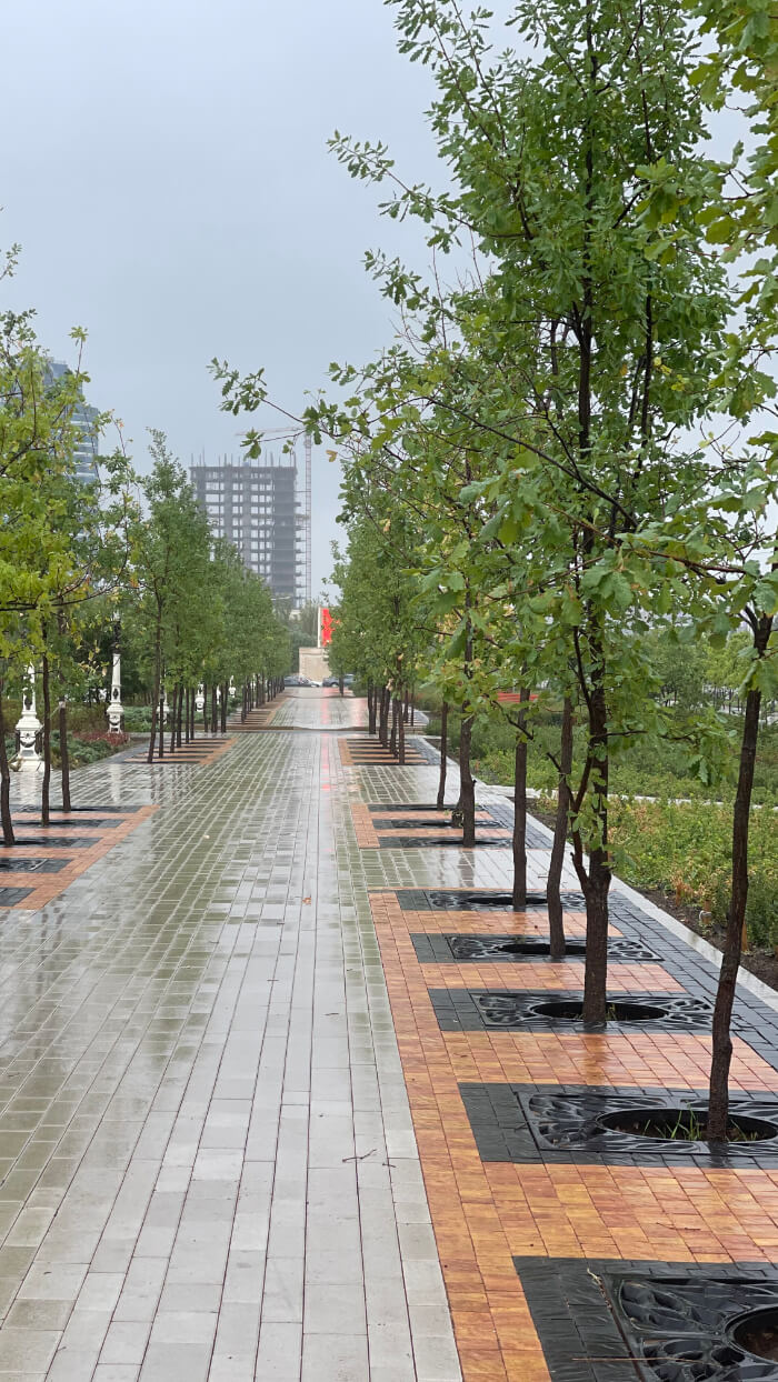 Приствольная решетка для дерева ZKING CRUST 1.2х1.2м Черная в Москве фото