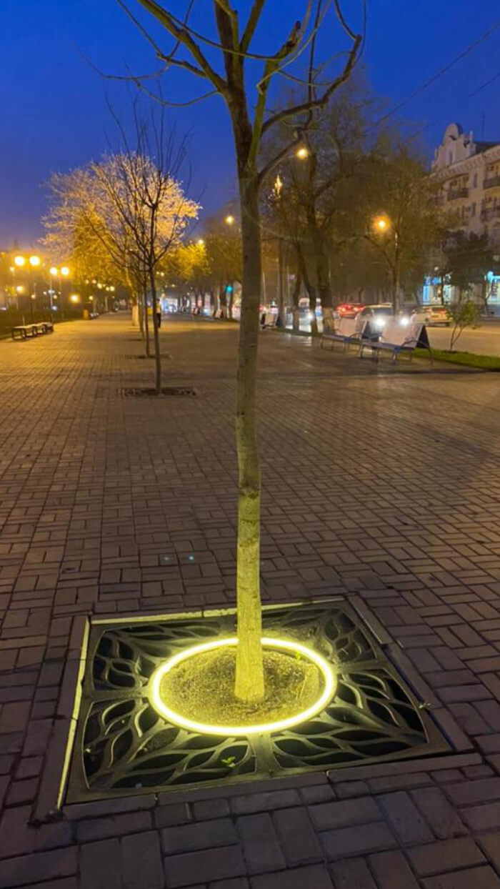 Приствольная решетка для дерева ZKING CRUST 1.2х1.2м Черная в Москве фото